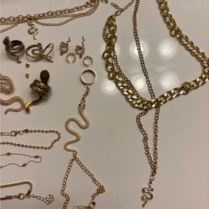 Gold/Snake Jewelry
